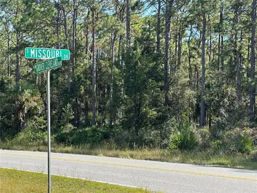 HOMOSASSA FL Property