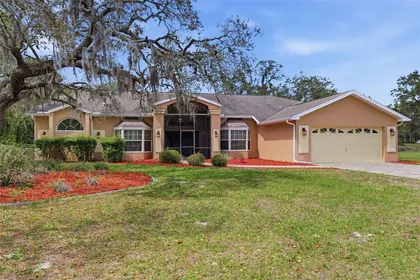 SPRING HILL FL Home