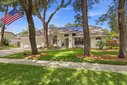 LUTZ FL Home
