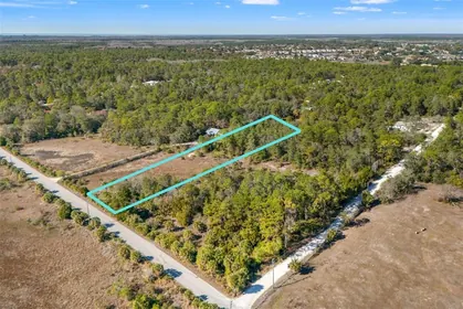 WEEKI WACHEE FL Property