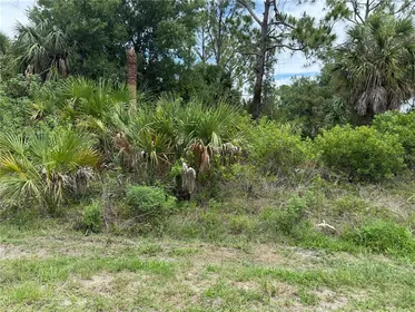 PORT CHARLOTTE FL Property