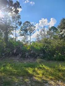SEBRING FL Property