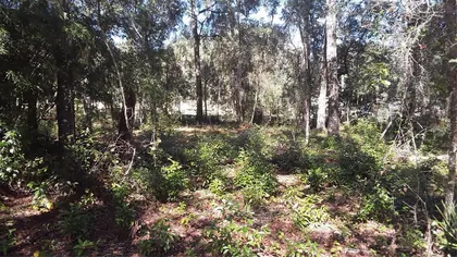 DUNNELLON FL Property