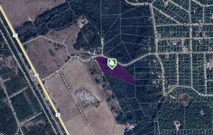 SATSUMA FL Property