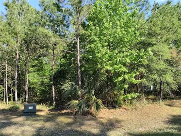 WILLISTON FL Property