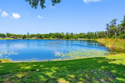 ODESSA FL Home