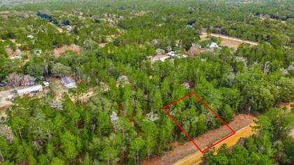 INTERLACHEN FL Property