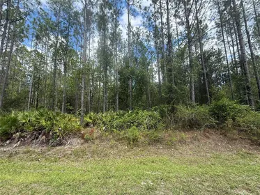 LAKE BUTLER FL Property