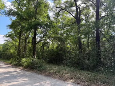 CHIEFLAND FL Property