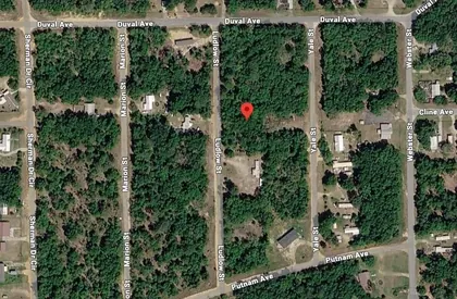 INTERLACHEN FL Property