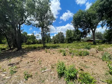 UMATILLA FL Property