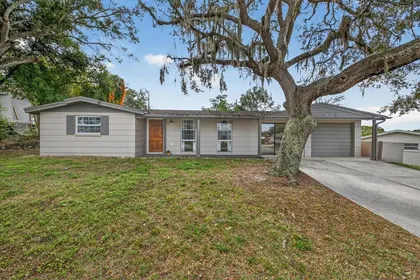 HOLIDAY FL Home
