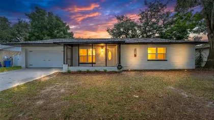 SEFFNER FL Home