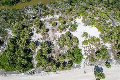 PLACIDA FL Property