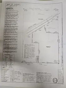 DOVER FL Property
