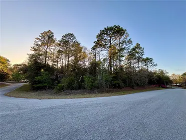DUNNELLON FL Property