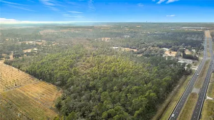 CHRISTMAS FL Property