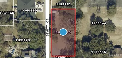 EUSTIS FL Property