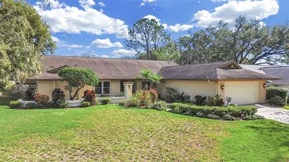 SEFFNER FL Home
