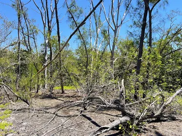 ENGLEWOOD FL Property
