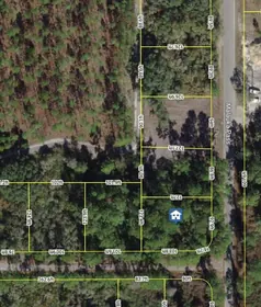 OCKLAWAHA FL Property