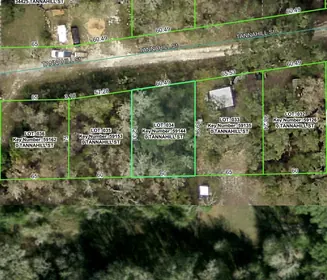 DADE CITY FL Property