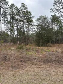 DUNNELLON FL Property