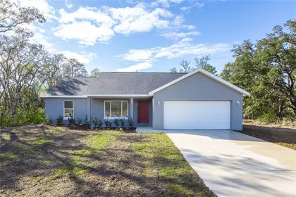 WILLISTON FL Home