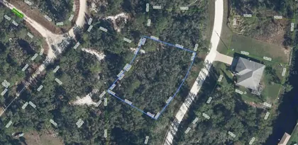 LAKE PLACID FL Property