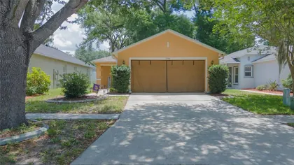 SEFFNER FL Home