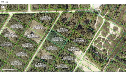 WEBSTER FL Property