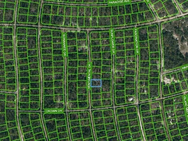 LAKE PLACID FL Property
