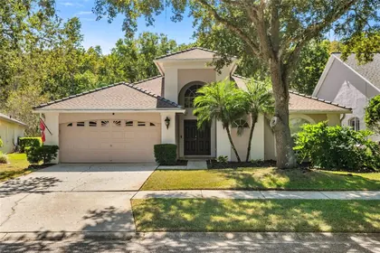 LUTZ FL Home