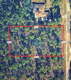 DUNNELLON FL Property
