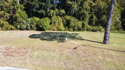 SPRING HILL FL Property