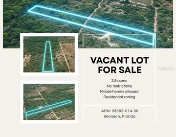 BRONSON FL Property