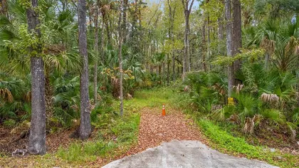 OAK HILL FL Property