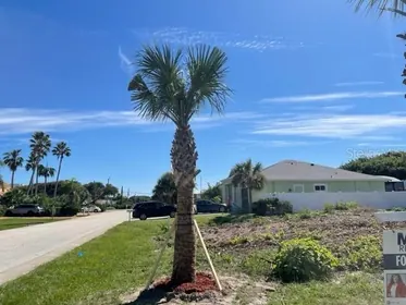 PONCE INLET FL Property