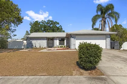 BRANDON FL Home
