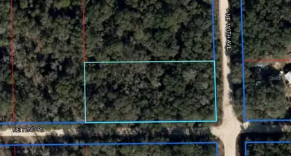 BRONSON FL Property