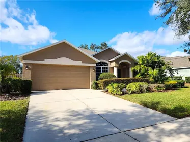 SEFFNER FL Home
