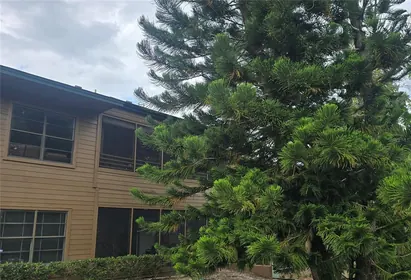 PALM HARBOR FL Home