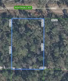 SEBRING FL Property