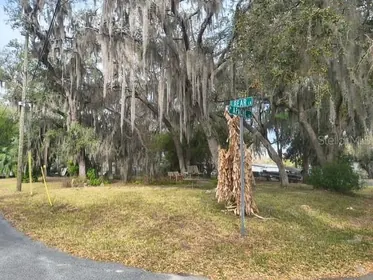 HERNANDO FL Property