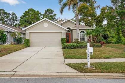 HOLIDAY FL Home