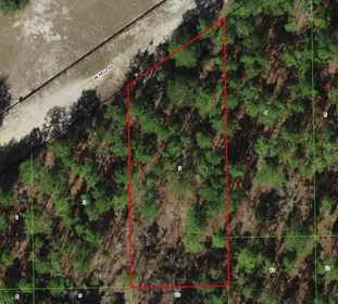 DUNNELLON FL Property
