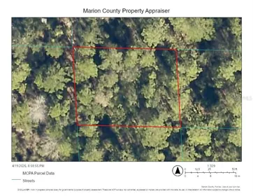 CITRA FL Property