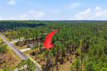 WEEKI WACHEE FL Property
