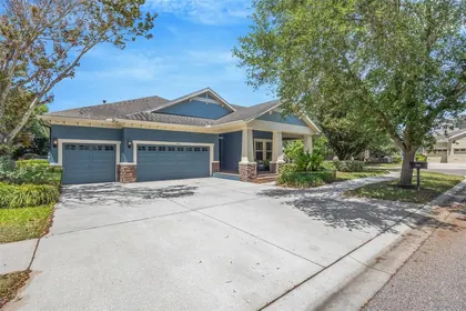 LITHIA FL Home