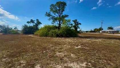 CAPE CORAL FL Property